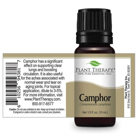 Plant Therapy Essential Oil -  Camphor, White