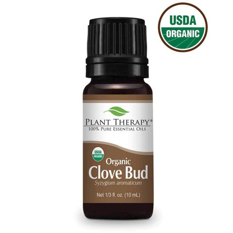 Plant Therapy Essential Oil - Clove Bud - Organic