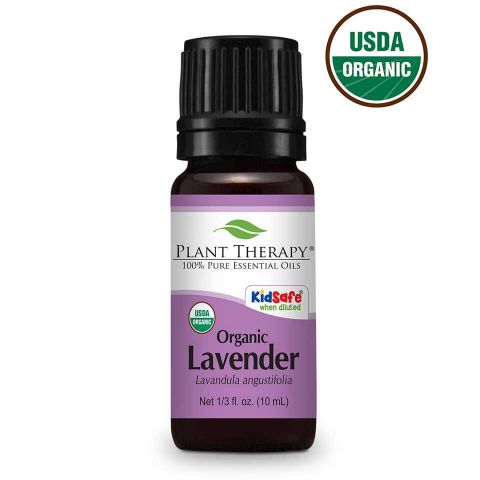 Plant Therapy Essential Oil - Lavender - Organic