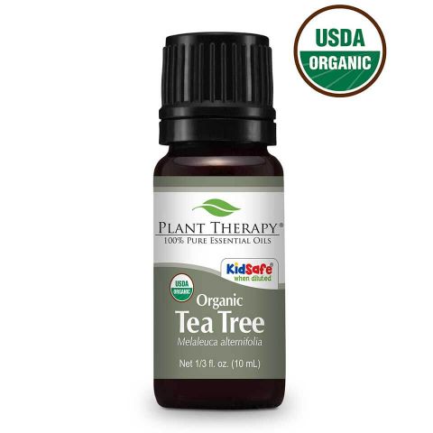 Plant Therapy Essential Oil - Tea Tree - Organic