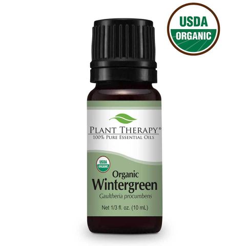 Plant Therapy Essential Oil - Wintergreen