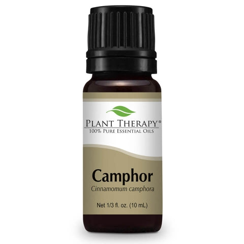 Plant Therapy Essential Oil -  Camphor, White
