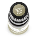 Plant Therapy - Ginger Root CO2 Essential Oil