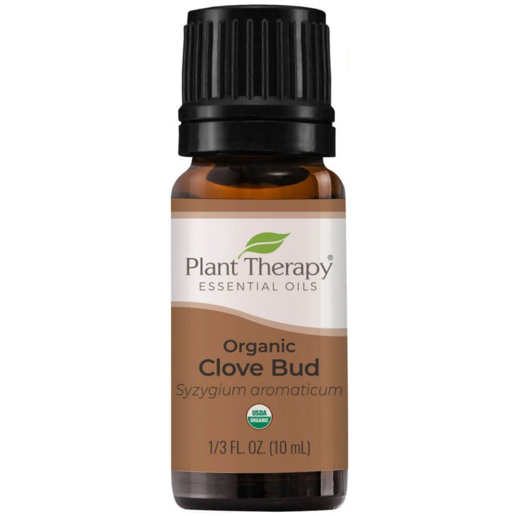 Plant Therapy Essential Oil - Clove Bud - Organic