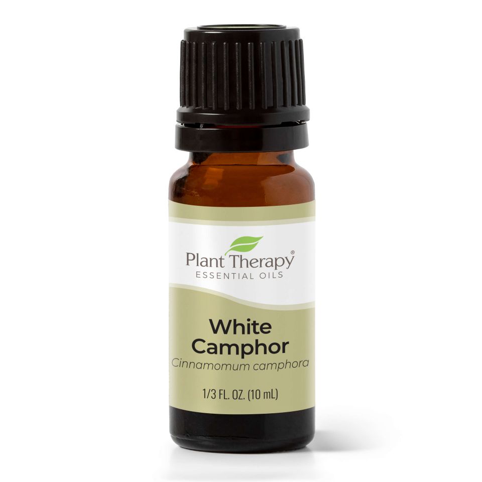 Plant Therapy Essential Oil -  Camphor, White