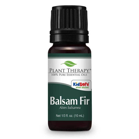 Balsam Fir essential oil by Plant Therapy is steam distilled from the needles of Balsam Fir trees.