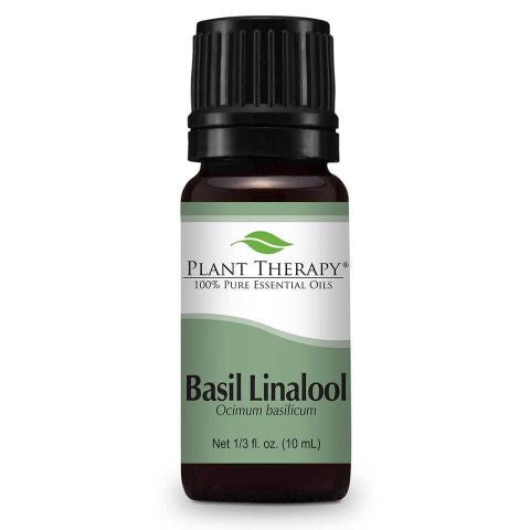 Basil Linalool essential oil from Plant Therapy has a sweet, fresh, green scent with a balsamic undertone.