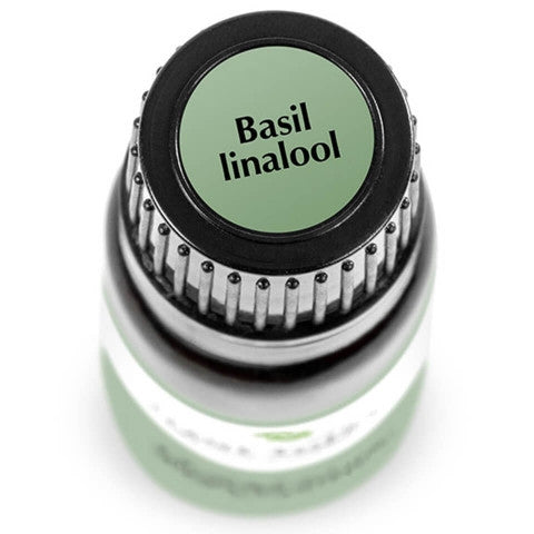 Plant Therapy Essential Oil - Basil Linalool