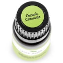 Plant Therapy Essential Oil - Citronella - Organic
