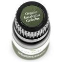 Plant Therapy Essential Oil - Eucalyptus Globulus - Organic