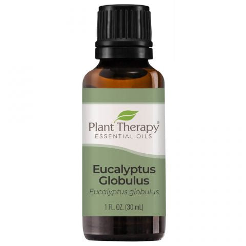 Plant Therapy Essential Oil - Eucalyptus Globulus - Organic