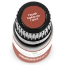 Plant Therapy Essential Oil - Frankincense Carterii - Organic