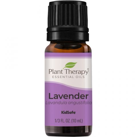 Plant Therapy Essential Oil - Lavender - Organic