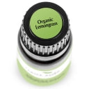 Plant Therapy Essential Oil - Lemongrass - Organic