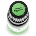 Plant Therapy Essential Oil - Peppermint - Organic