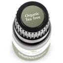 Plant Therapy Essential Oil - Tea Tree - Organic