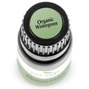 Plant Therapy Essential Oil - Wintergreen